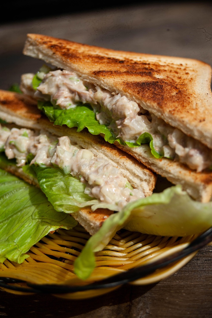 food, sandwich, dish, bread, toast